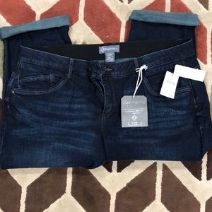 Democracy Indigo Artisanal Slim Straight Stretch Denim Jean 22W